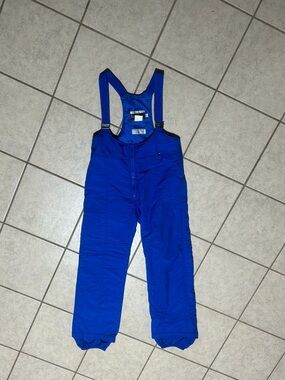 Vintage Men's Blue Insulated Bib Ski Pants